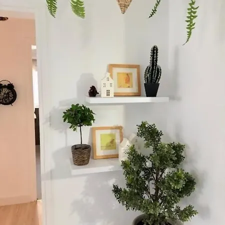 011 Bajo Jardin Platja Daro Apartment *